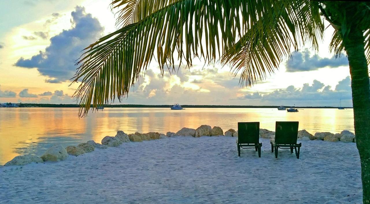 Dolphin Point 3*